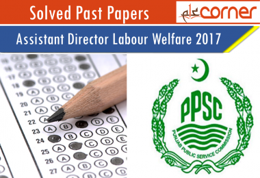 Assistant director labour welfare past papers assistant director ppsc past papers assistant director local government past papers