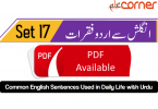 English to Urdu Sentences Spoken English 17