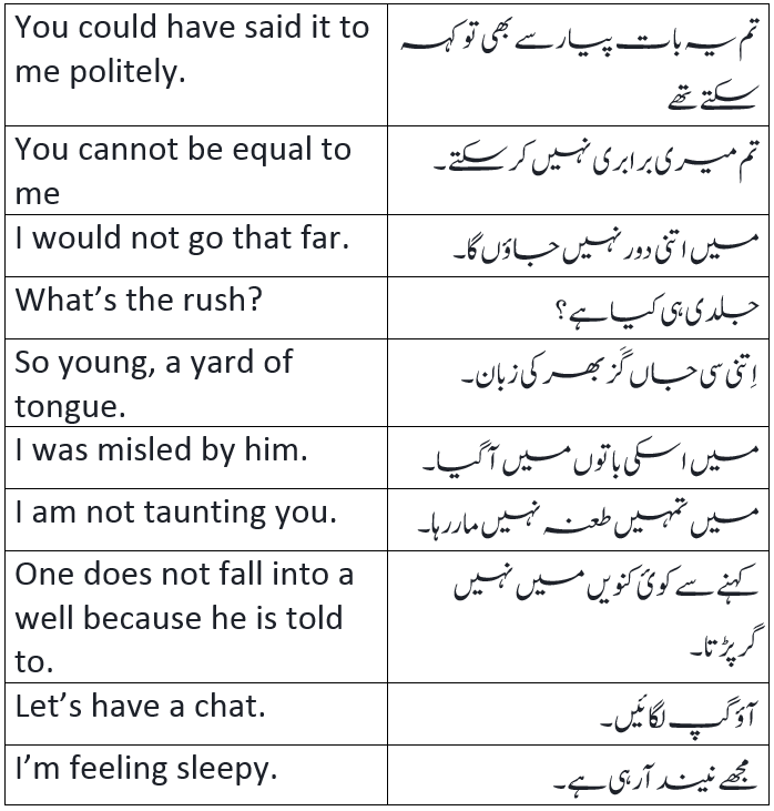 English to Urdu Sentences Spoken English 23