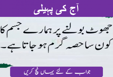 difficult riddles with answers in urdu