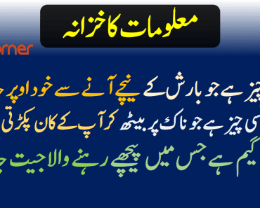 New Interesting Riddles in Urdu with Answers